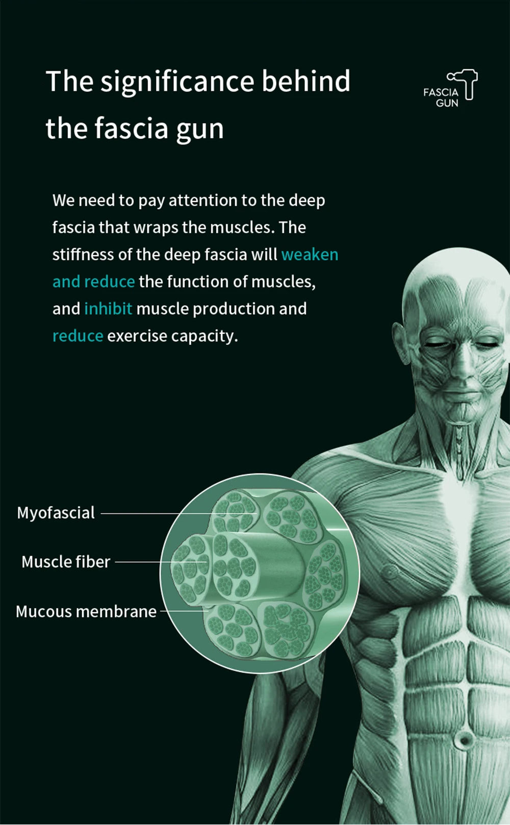 Speed Professional Muscle Massage Gun